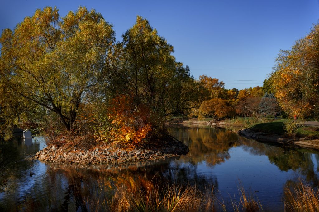 Осенний пруд с островком в ботаническом саду