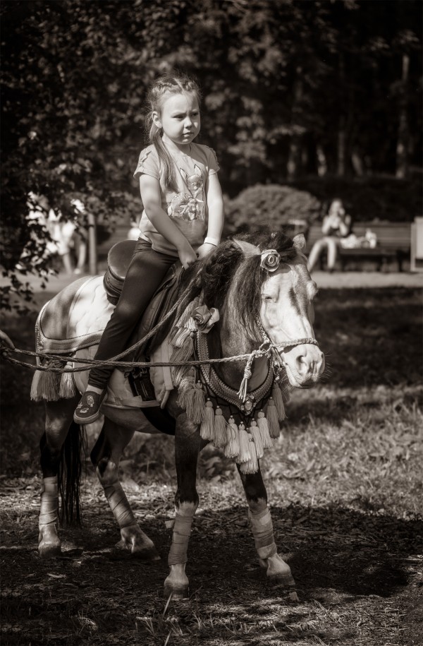 Девочка на лошадке пони