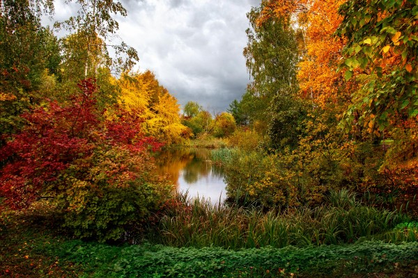 Осенний пасмурный пейзаж. Фотограф Вячеслав Мудряков